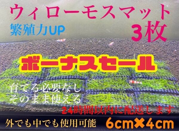 ウィローモス ウィローモスマット 3枚セット 業者様もご愛用 すぐ使えます。