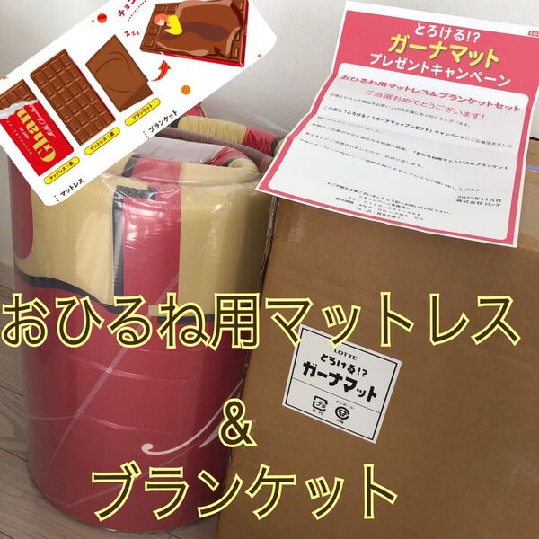 とろける!? ガーナマット おひるね用マットレス ブランケット 当選品 ガーナ ロッテ LOTTE キャンペーン