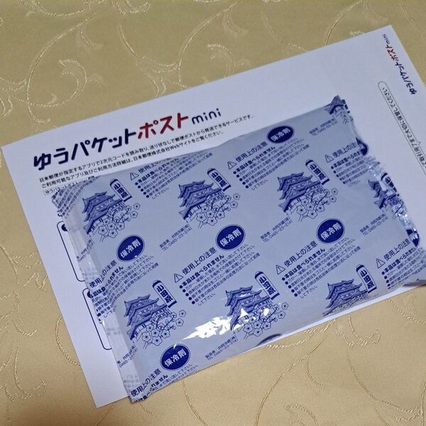 【まとめ売り】耳かき付き綿棒 & 大きめ保冷剤