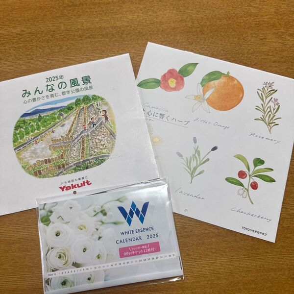 壁掛け&卓上カレンダー2025 3個セット