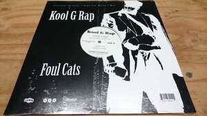 新品未開封 Kool G Rap/FOUL CATS promo 12