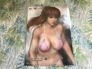 141クリアファイル PS3/Xbox360ソフト DEAD OR ALIVE 5 Ultimate パッケージ」 GAMECITY購入特典 かすみ/紅葉