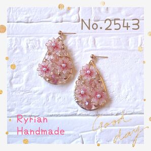 No.2543 ピアス