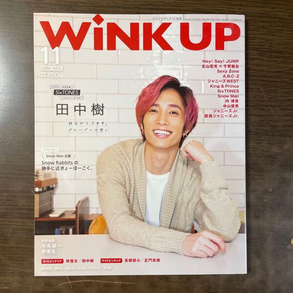 WINK UP 2020年11月号 田中樹