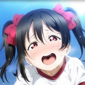 ラブライブ μ's 矢澤にこ ブロマイド 写真 L判 同人 10枚