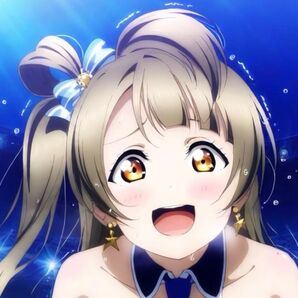 ラブライブ μ's 南ことり ③ ブロマイド 写真 L判 同人 10枚