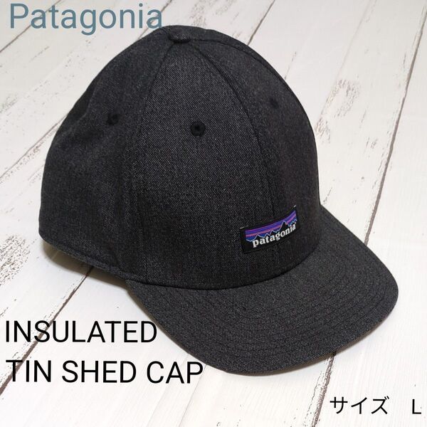 パタゴニア インサレーテッド ティン シェッド キャップ