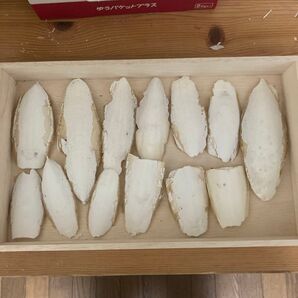 カルトボーン B級品