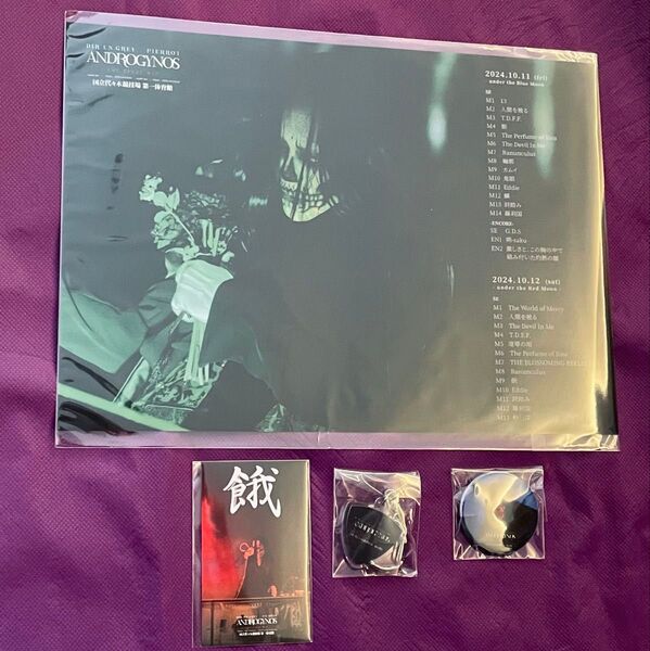DIR EN GREY アンドロジナス くじ 京セット