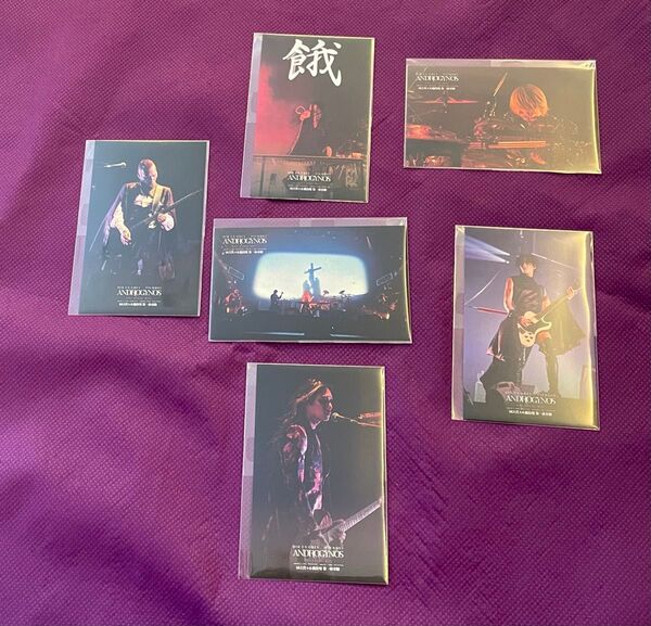 DIR EN GREY ANDROGYNOS ラッフルくじ G賞 ミニフォトカード