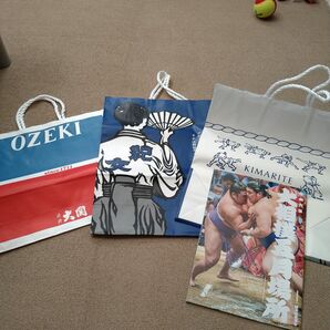 大相撲五月場所(令和6年)パンフレットと紙袋(3袋)