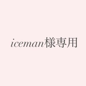 iceman様専用ページ