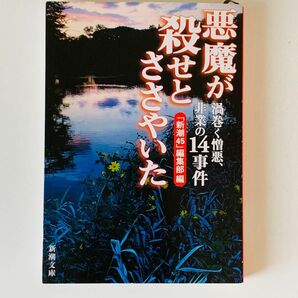 悪魔が殺せとささやいた 渦巻く憎悪、非業の14事件
