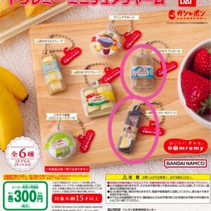 ドンレミー ミニチュアチャーム 2点