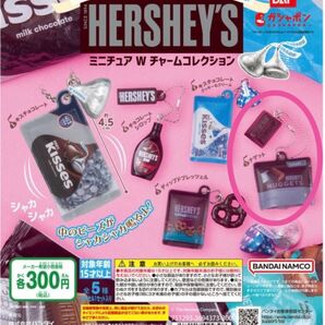 HERSHEY'S ミニチュアWチャームコレクション ナゲット