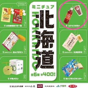 ミニチュア北海道 コアップガラナ