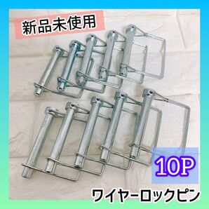 ワイヤーロックピン トラックファーム 芝生 ヒッチピン ボート トレーラー