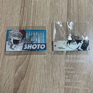 ヒロアカ 轟焦凍