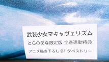 武装少女マキャヴェリズム Blu-ray/DVD とらのあな限定版 全巻連動特典 鬼瓦輪＆因幡月夜 アニメ描き下ろしB1タペストリー_画像4