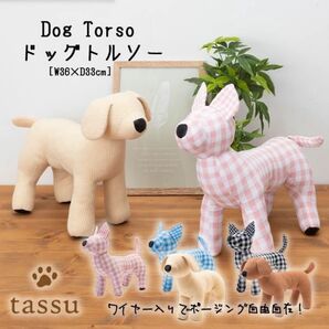 犬 ドッグ トルソー トイプードル
