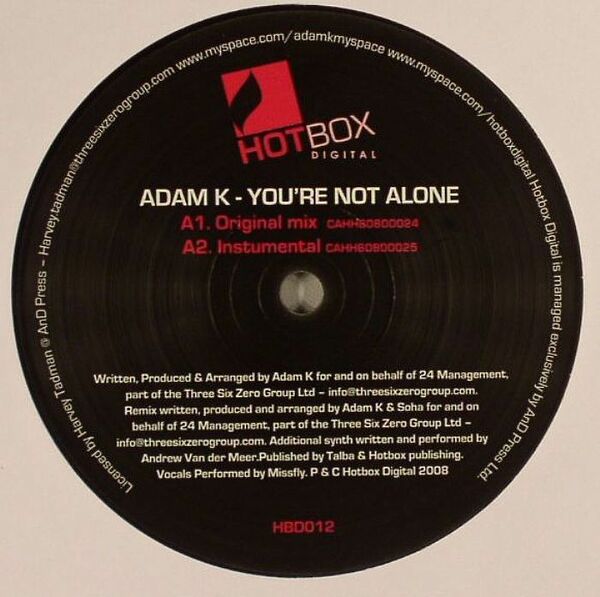 新品未使用 Adam K / You're Not Alone 12inchレコード　送料無料 (0039)