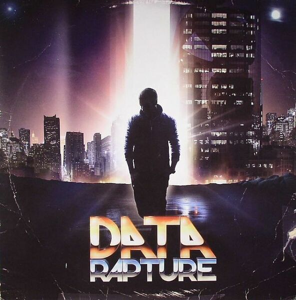 新品未使用 Data / Rapture 12inchレコード　送料無料 (0184)