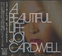 即決○Joi Cardwell / A Beautiful Life○Frankie Knuckles・Blaze・Daishi Dance・Quentin Harris○2,500円以上の落札で送料無料!!_画像1