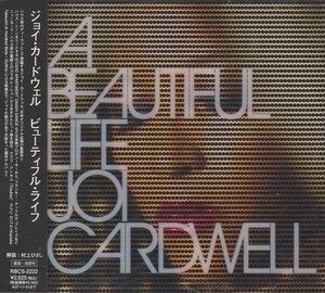 即決○Joi Cardwell / A Beautiful Life○Frankie Knuckles・Blaze・Daishi Dance・Quentin Harris○2,500円以上の落札で送料無料!!