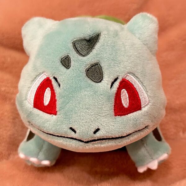 【即日発送】美品 フシギダネ ポケモンセンター ぬいぐるみ