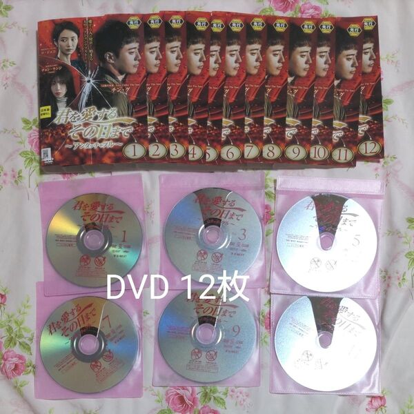 君を愛するその日まで〜アンタッチャブル〜DVD