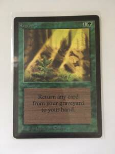 MTG　Regrowth/新たな芽吹き　(LEB/ベータ,英) 1枚