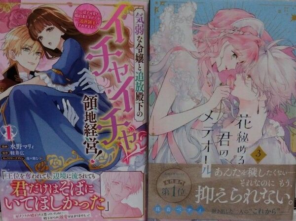 花秘める君のメテオール 3 (FCエトワール) 珠森ベティ/著気弱な令嬢と追放殿下のイチャイチャ領地経営!
