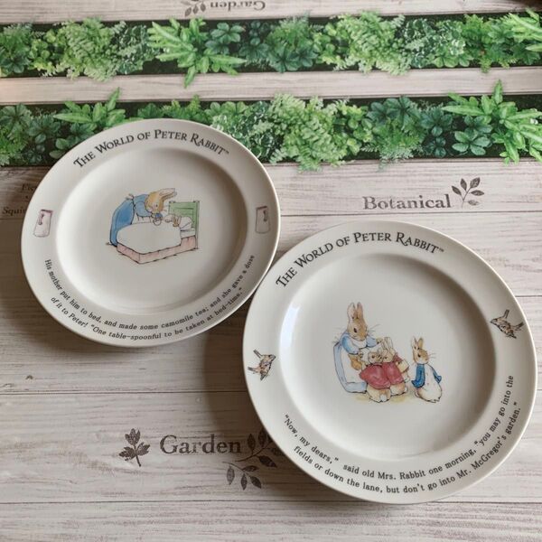 ピーターラビット プレート 食器 お皿 陶器 洋食器 PETER RABBIT 2枚セット