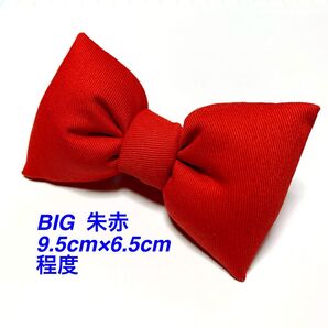 朱赤色BIG ディズニーコーデ 仮装 コスプレ衣装 リボン 蝶ネクタイ 赤