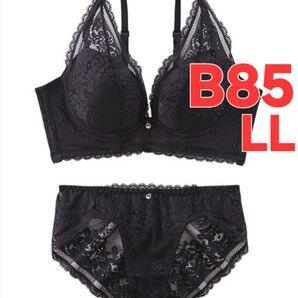 NS-14 新品 B85 LL 脇高ブラ ブラジャー&ショーツセット