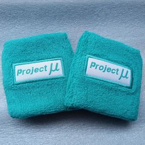 Projectμ☆リザーブタンクカバー★遮熱 防火 レース