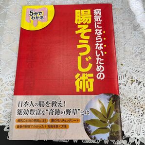 #病気にならないための腸そうじ術