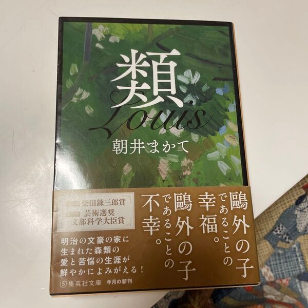 類 (集英社文庫 あ88-2) 朝井まかて/著