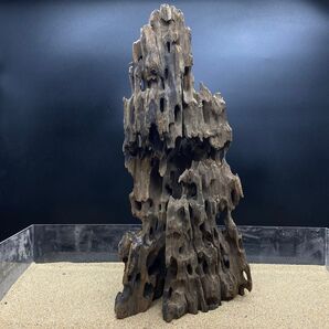 「セレクト品」MMW-6069マシンガンウッド 流木 アクアリウム