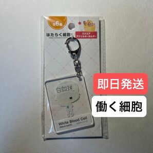 働く細胞 アクリルキーホルダー(白血球)