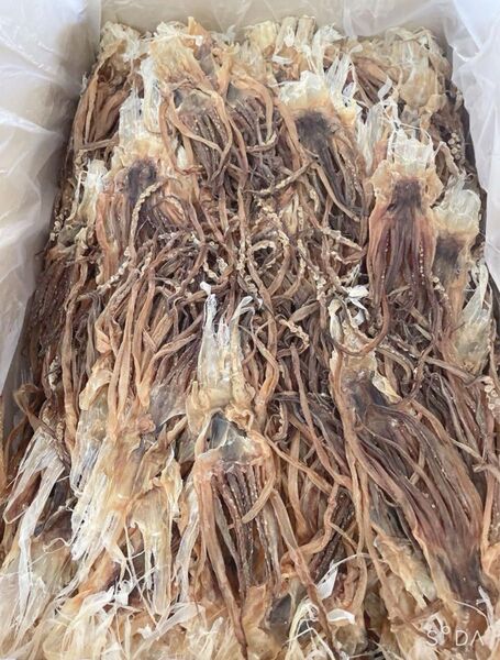 真いかするめ足【2kg】Sサイズ