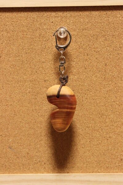 樹齢200年 ヒノキ 枝 木製キーホルダー ハンドメイド 木工 勾玉