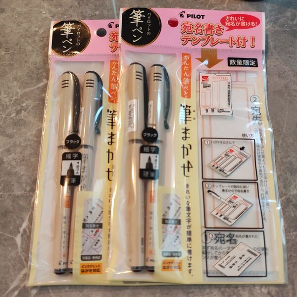 パイロット 筆まかせ テンプレートパック細字(黒)4本