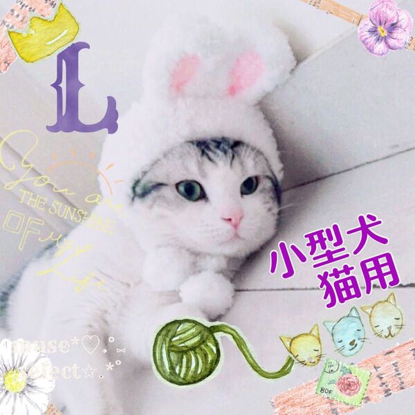 うさ耳 ニット帽子 L ポンポン 白 ペット用 ハット ねこのかぶりもの 猫用 小型犬用 うさぎ ぬいぐるみ ホワイト ふわふわ