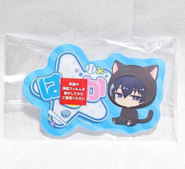 DMMくじ 忘却バッテリー アニマル着ぐるみ 清峰葉流火 D賞なまえアクリルバッジ