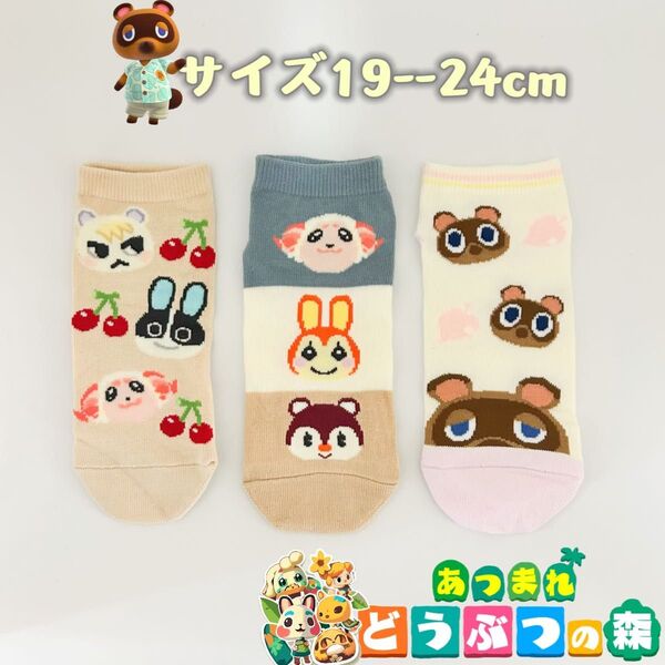 あつまれどうぶつの森 男女兼用 ソックス 靴下 3足組み 19-24cm