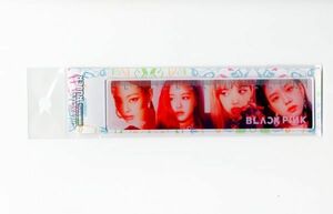 韓国 K-POP☆BLACK PINK ブラックピンク☆写真入り　定規　(36-J-16)