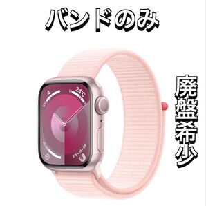 廃盤人気カラー Apple Watch 純正スポーツループ