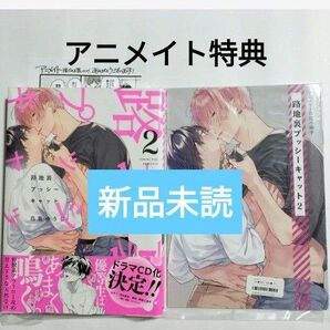 新品 路地裏プッシーキャット 2巻 アニメイト限定セット 小冊子付き 鳥葉ゆうじ