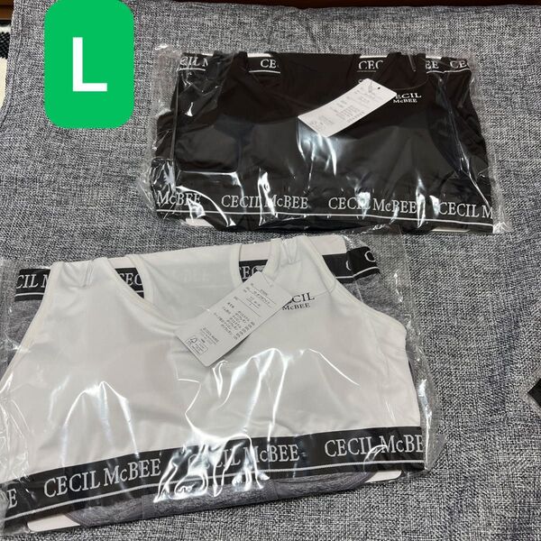 CECIL McBEE ハーフトップ ショーツセット Lサイズ